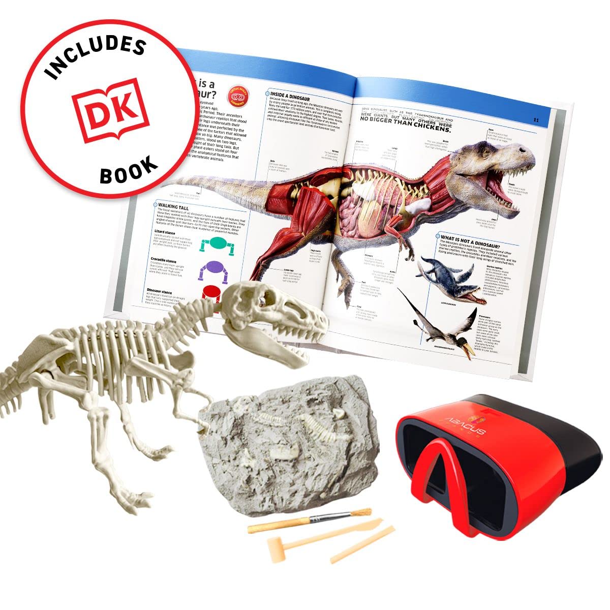Abacus Brands Virtual Reality Dinosaurs Gift Box - Illustrated Interactive VR Book and STEM Learning Activity Set - for Ages 8 and Up - Image 5