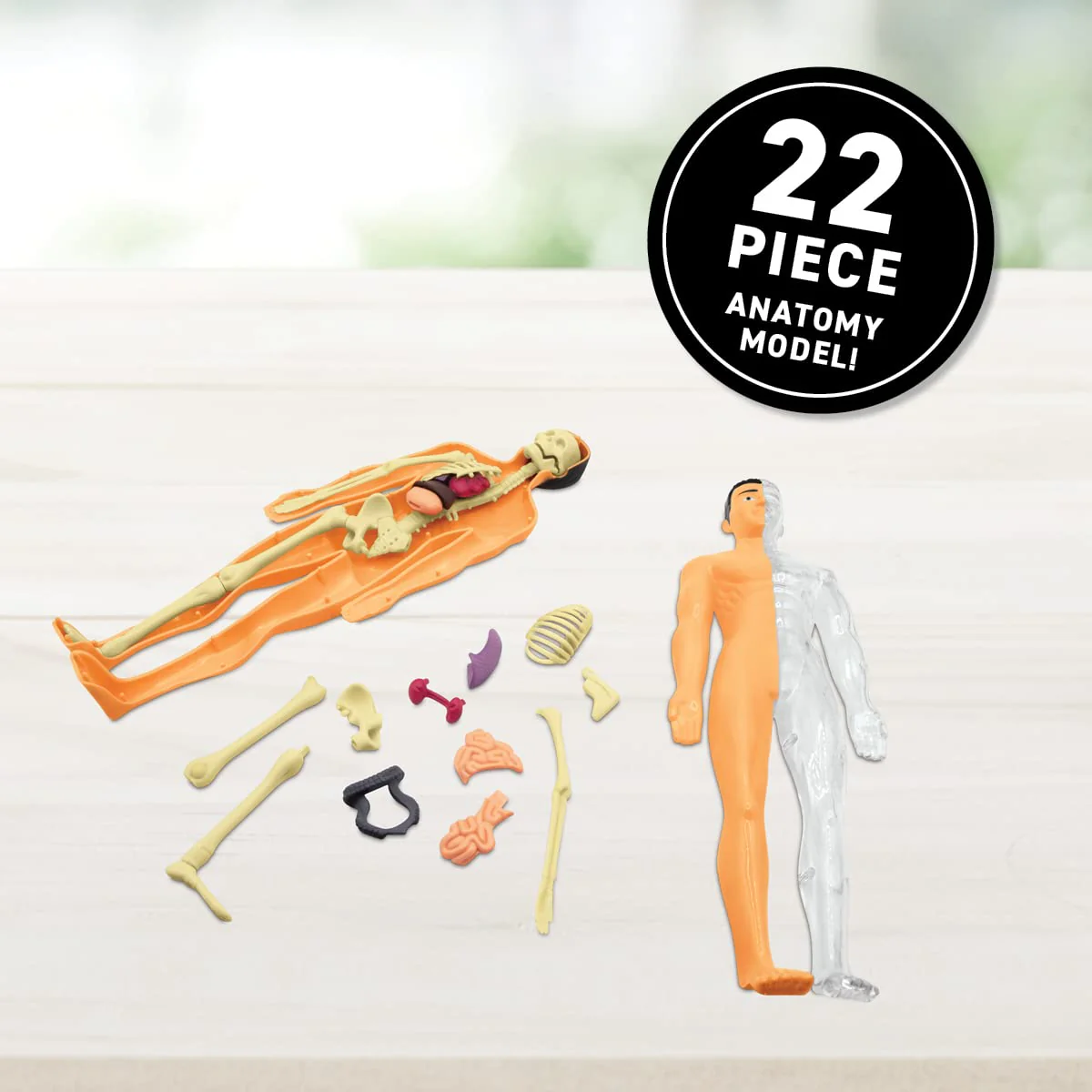 Abacus Brands Virtual Reality Human Body Gift Box- Illustrated Interactive VR Book and STEM Learning Activity Set - for Ages 8 and Up - Image 3