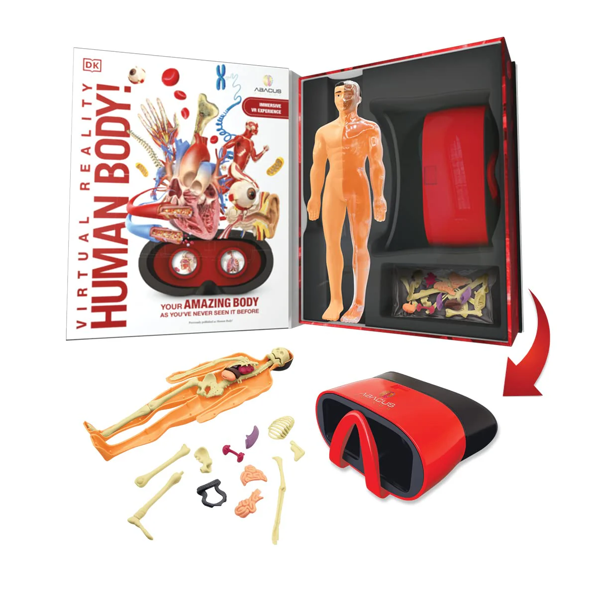 Abacus Brands Virtual Reality Human Body Gift Box- Illustrated Interactive VR Book and STEM Learning Activity Set - for Ages 8 and Up - Image 6