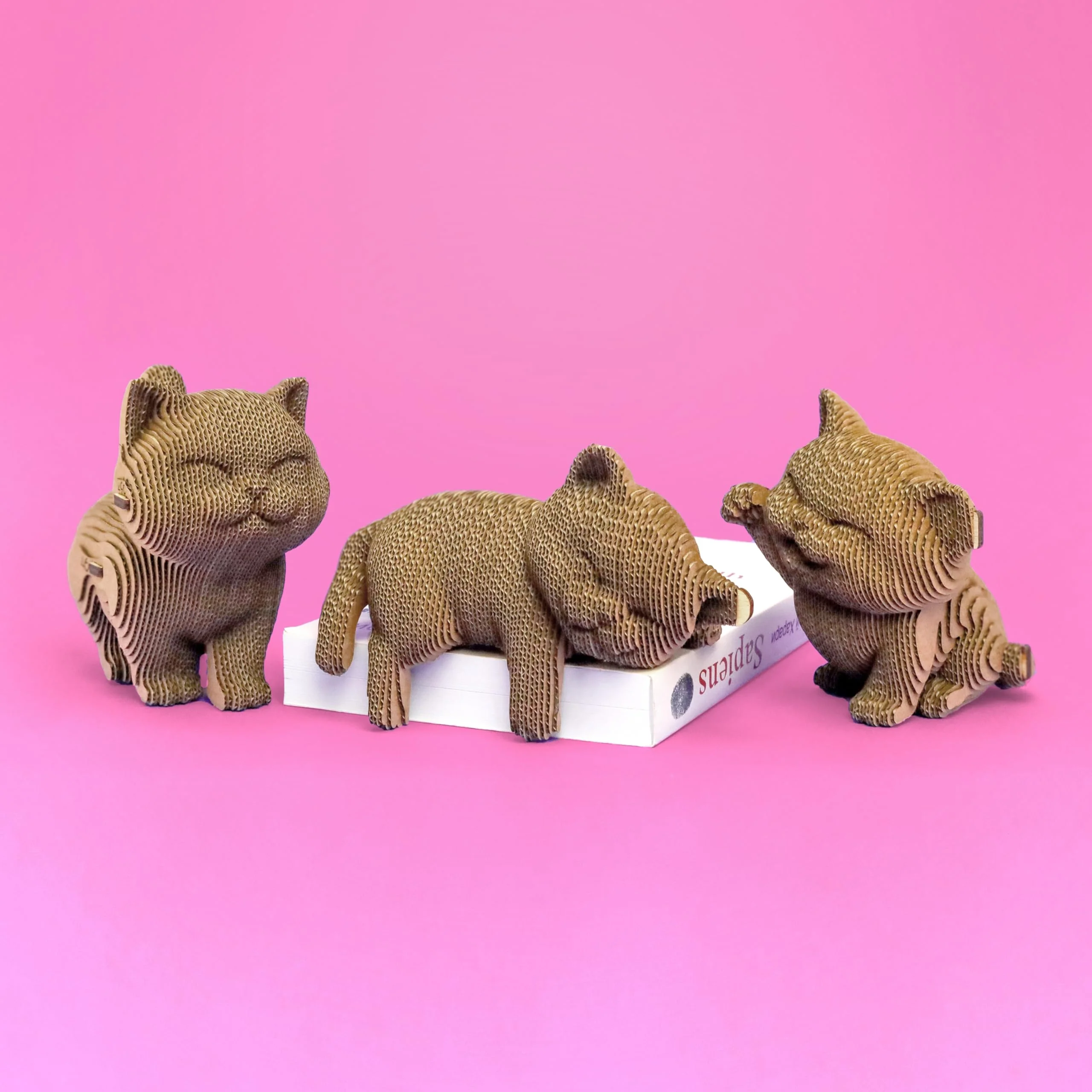 CARTONIC 3D Puzzle Model Kit – Gift for Teens, Adults, Kids, Women, Men - 3D Puzzle Transforms Into Charming Home Decor (Trio Kittens) - 254 Pieces - Image 9