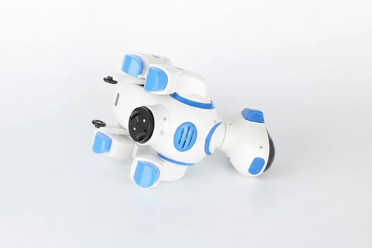 Dancing Dog - Image 3
