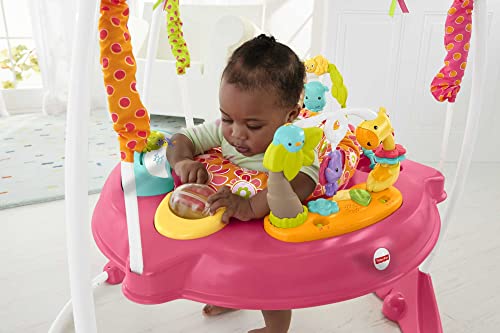 Fisher-Price Jumperoo Baby Bouncer and Activity Center with Spinning Seat plus Lights Music Sounds and Baby Toys, Pink Petals - Image 15