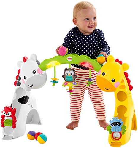 Fisher-Price Newborn-To-Toddler Play Gym With Music and Lights [Amazon Exclusive] - Image 4