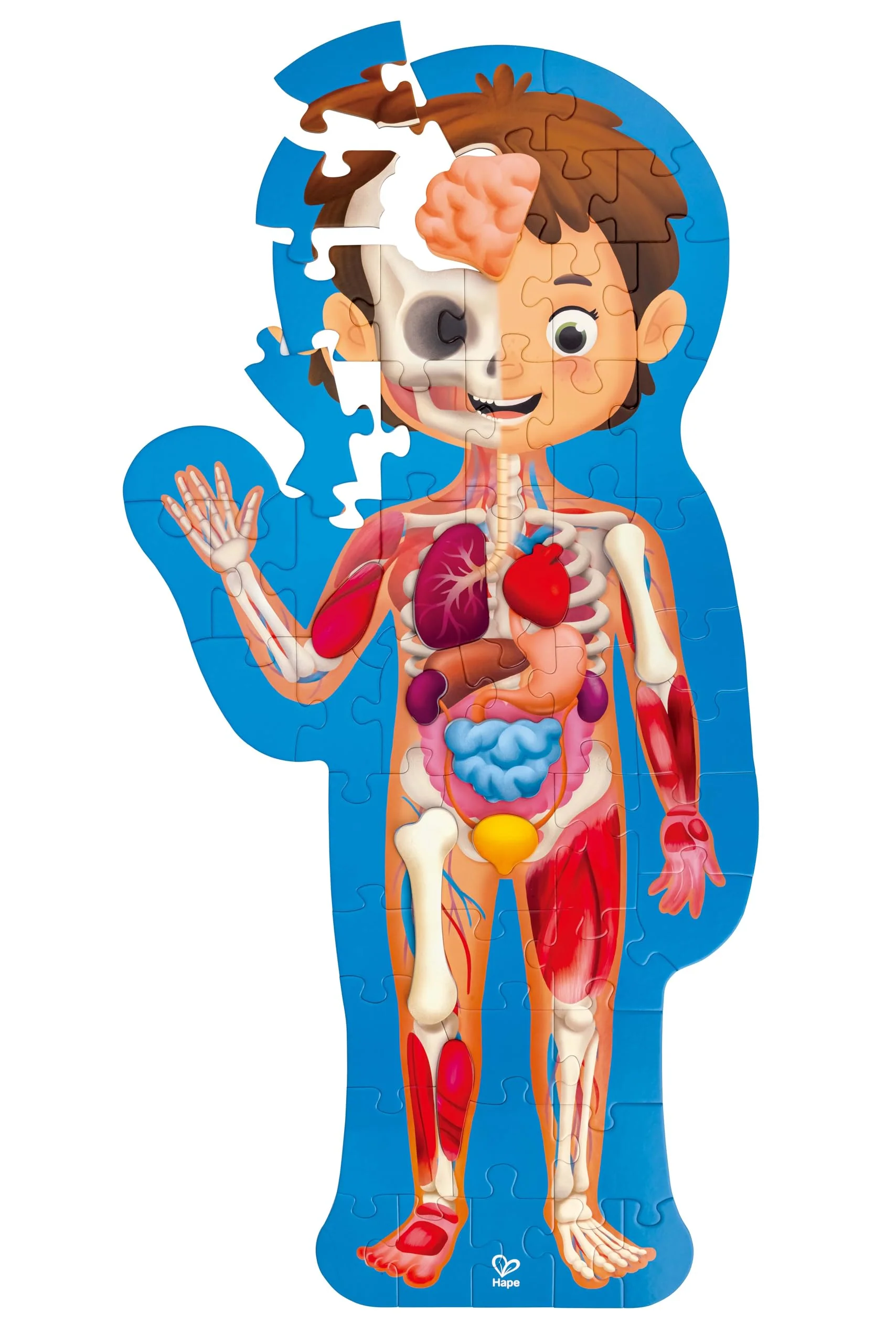 Hape Human Body Puzzle | 60 Oversized Pieces Educational Anatomy Jigsaw, Wooden Organs, for Children 4+ Years - Image 2