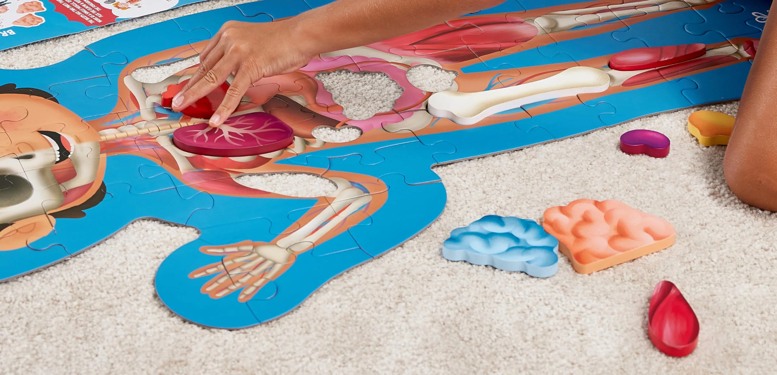 Hape Human Body Puzzle | 60 Oversized Pieces Educational Anatomy Jigsaw, Wooden Organs, for Children 4+ Years - Image 3
