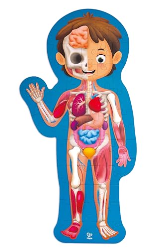 Hape Human Body Puzzle | 60 Oversized Pieces Educational Anatomy Jigsaw, Wooden Organs, for Children 4+ Years - Image 9