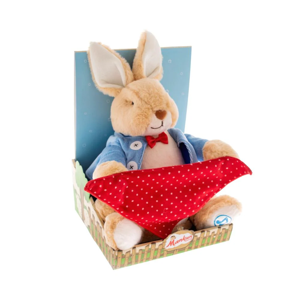 Interactive Rabbit