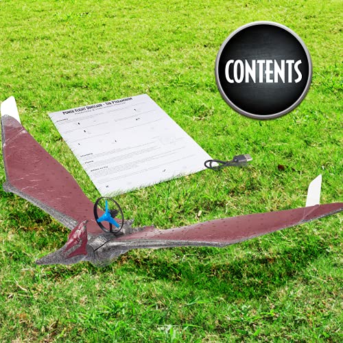Jurassic World Toys Power Flight Dino - Pteranodon |Flying Dinosaur Toy for Kids | Official Camp Cretaceous, Fallen Kingdom and Dominion Merchandise and Gifts for Boys and Girls - Image 3