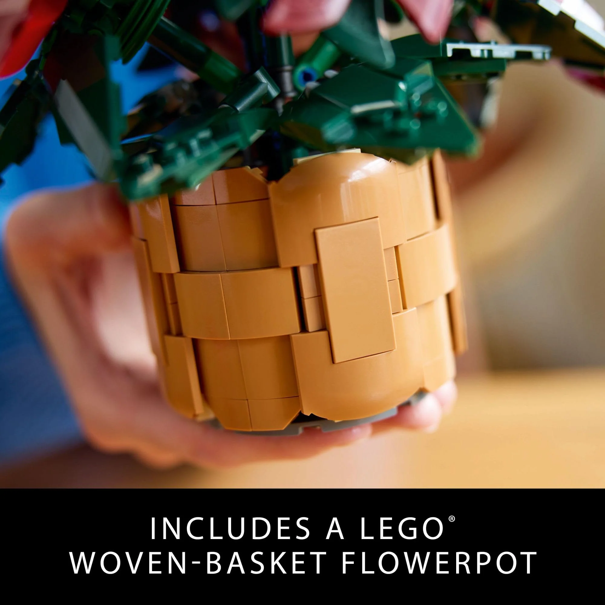 LEGO Icons Poinsettia Building Set - Artificial Flowers Christmas Decoration & Centerpieces for Table, Adults Ages 18+ - Gift Ideas for Mom, Dad, & Significant Other - 10370 - Image 5