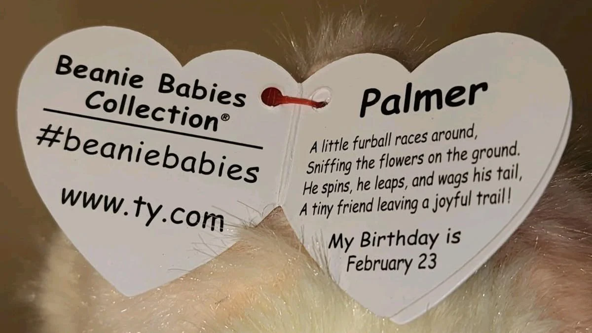 Ty Beanie Babies Palmer The Pomeranian Dog - 6" - Image 3